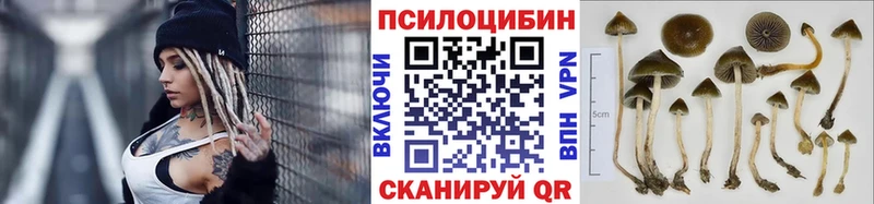 Галлюциногенные грибы мухоморы  сколько стоит  Ногинск 